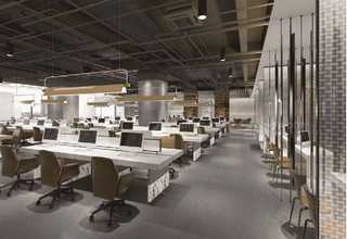 河北绿茶供应商