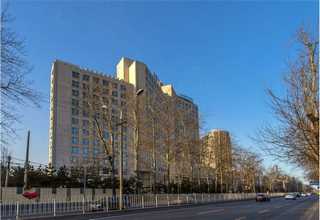 高密推广抖音代运营哪家好