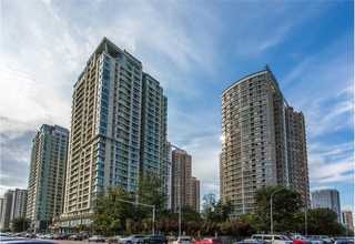 广东磨接锭带图片